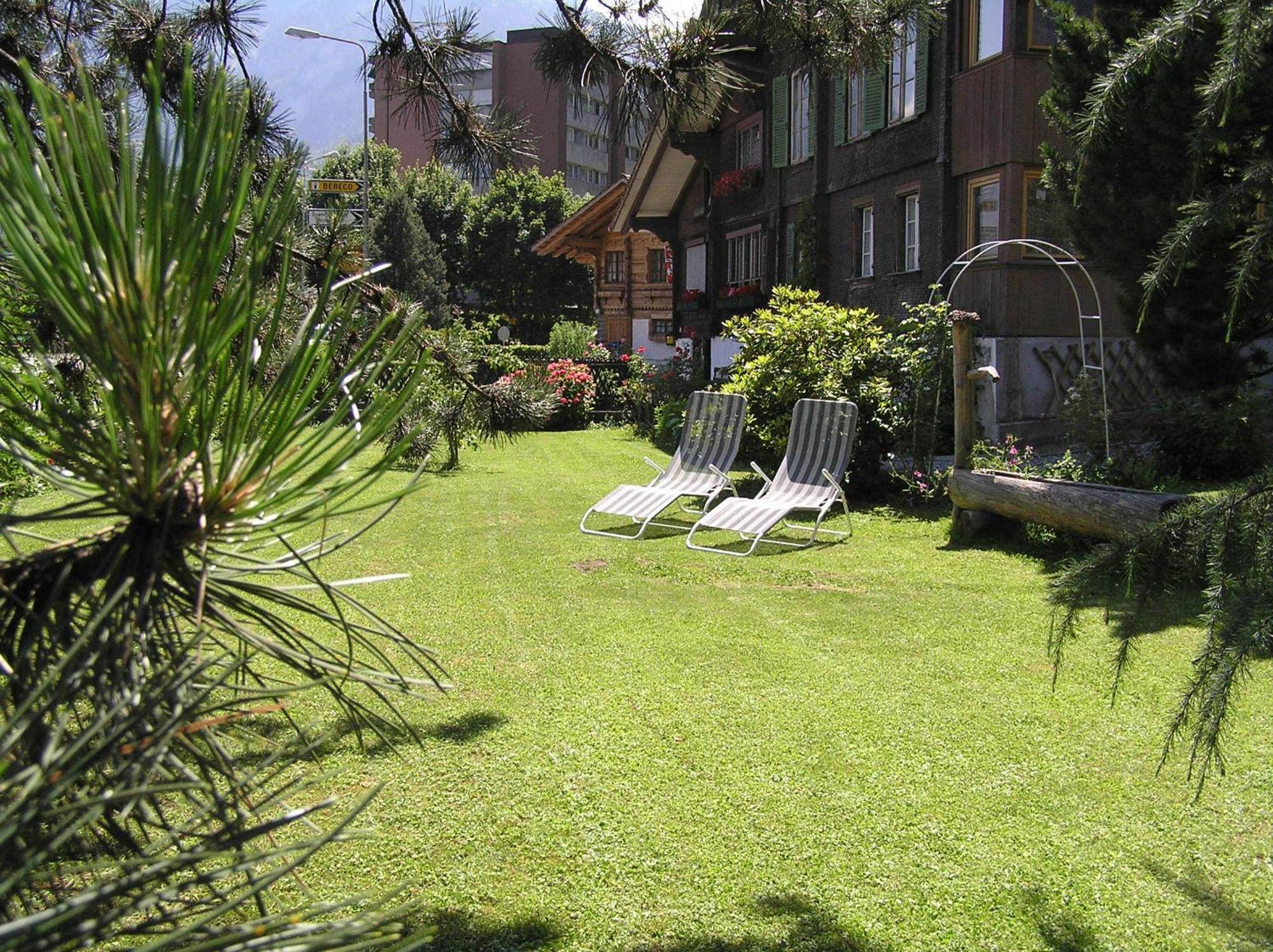 Hotel Alpina 2*
