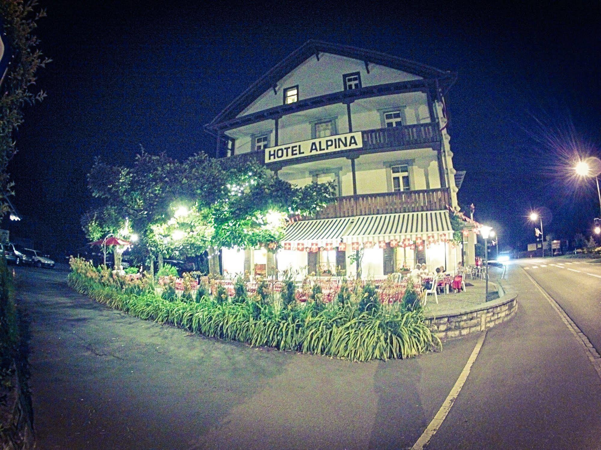 Hotel Alpina 2*